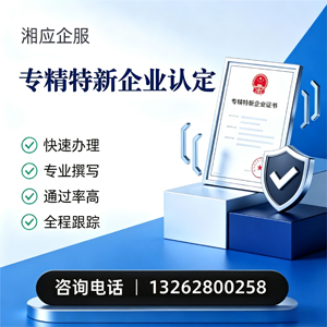 揭阳专精特新企业申报服务