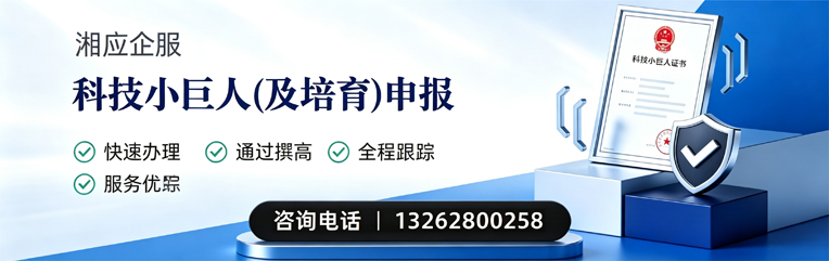 揭阳科技小巨人及培育企业申报服务