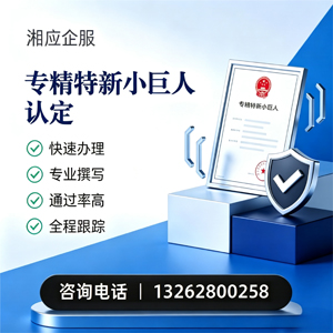 揭阳专精特新小巨人申报服务