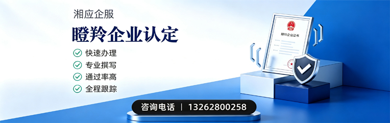 揭阳瞪羚企业认定申报服务