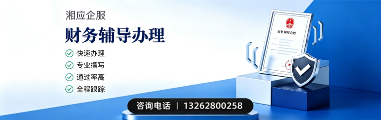 揭阳财务辅导申请服务
