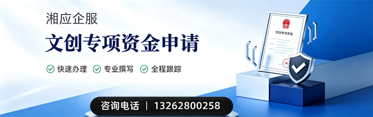 揭阳文创专项资金申报服务