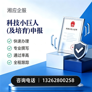 揭阳科技小巨人及培育企业申报服务
