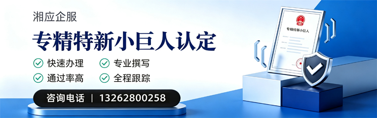 揭阳专精特新小巨人申报服务